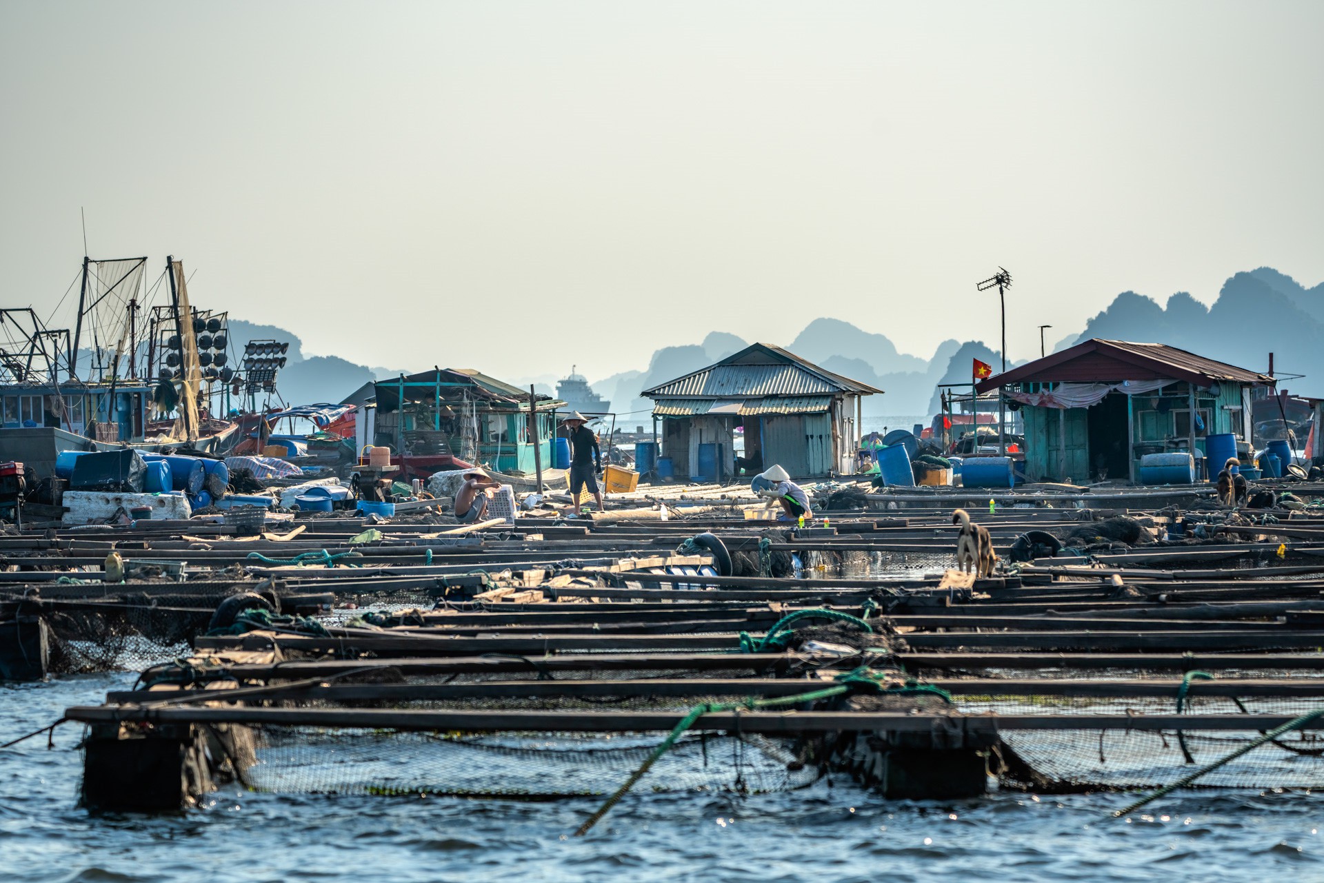 Nhung lang chai du lich o hai vinh dep nhat Quang Ninh hinh anh 29 