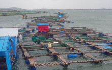 Bão số 6 đang tiến về đất liền, Khánh Hòa sóng biển cao hơn 5 mét