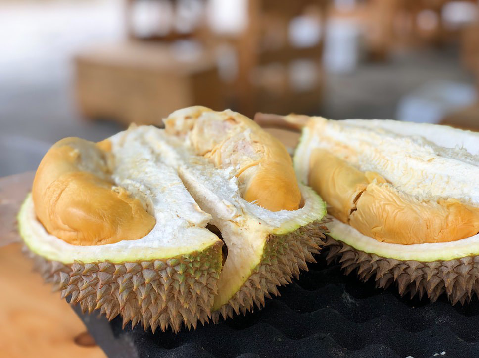 Những điều không được làm khi đến Singapore - Ảnh 1. Những điều không được làm khi đến Singapore - Ảnh 1.