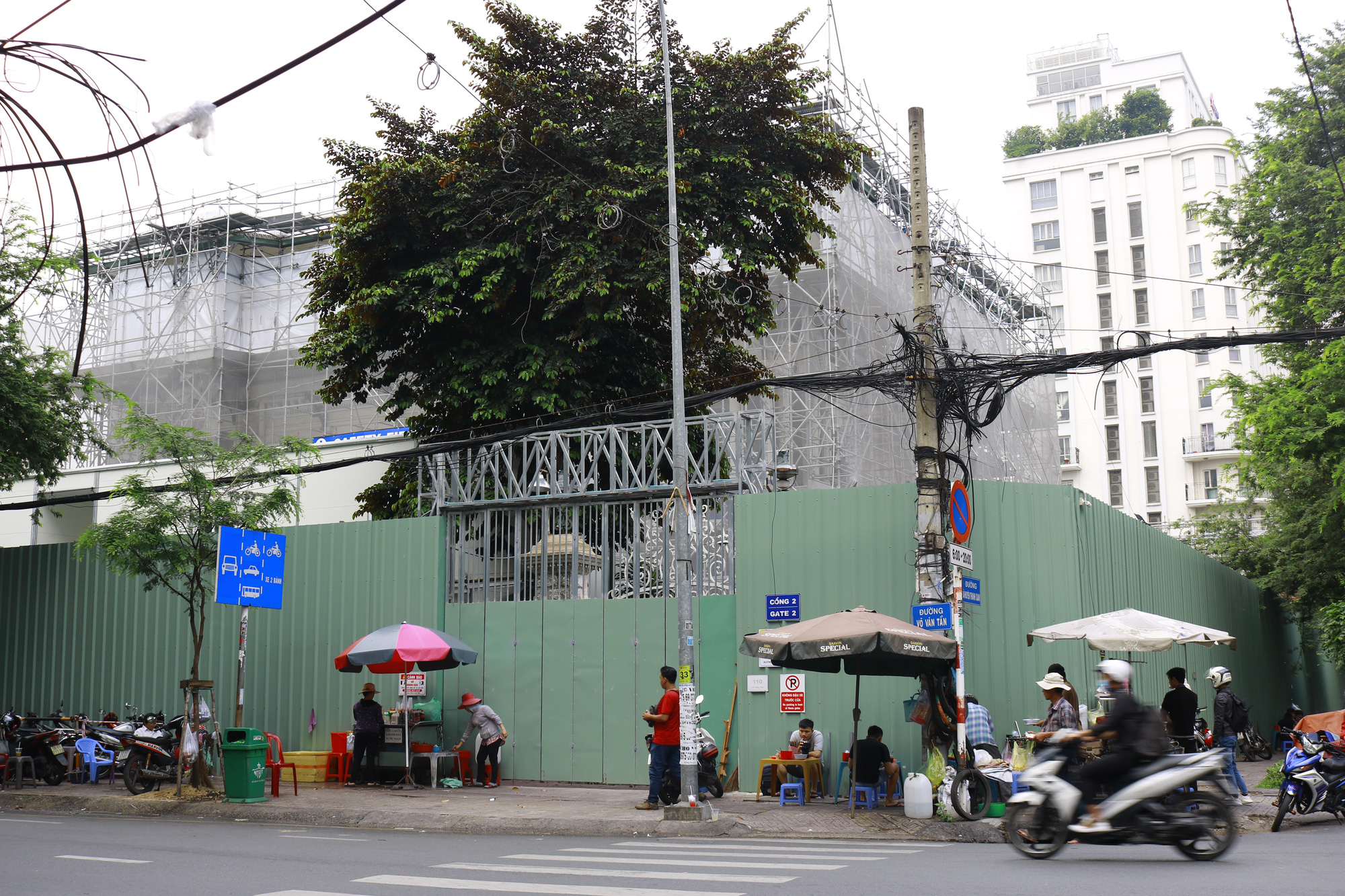 _MG_8732 _MG_8732