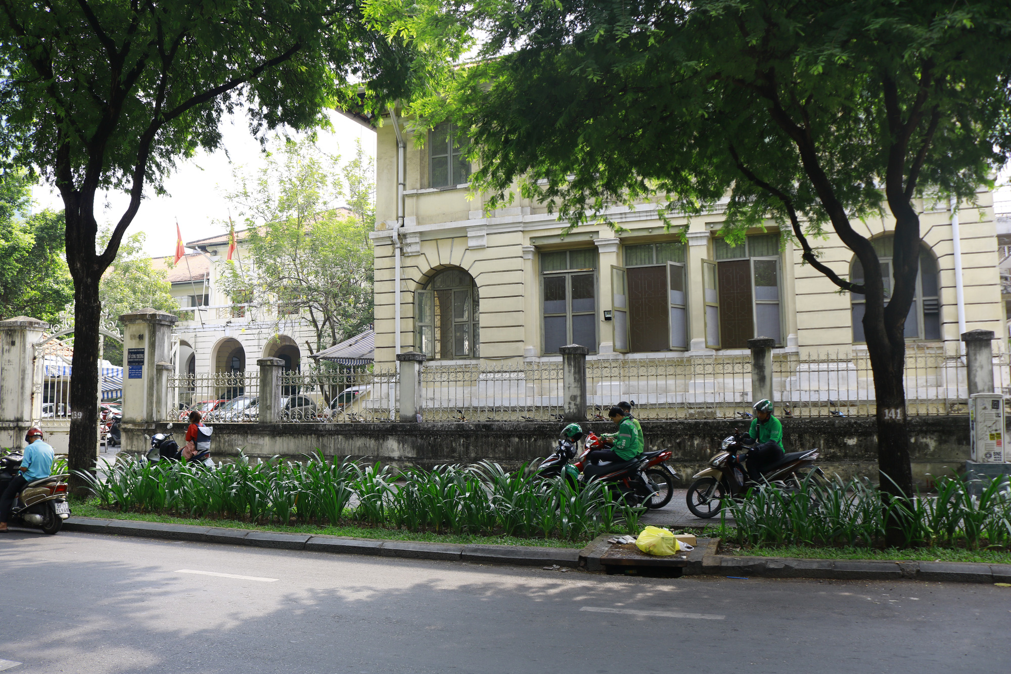 _MG_8742 _MG_8742