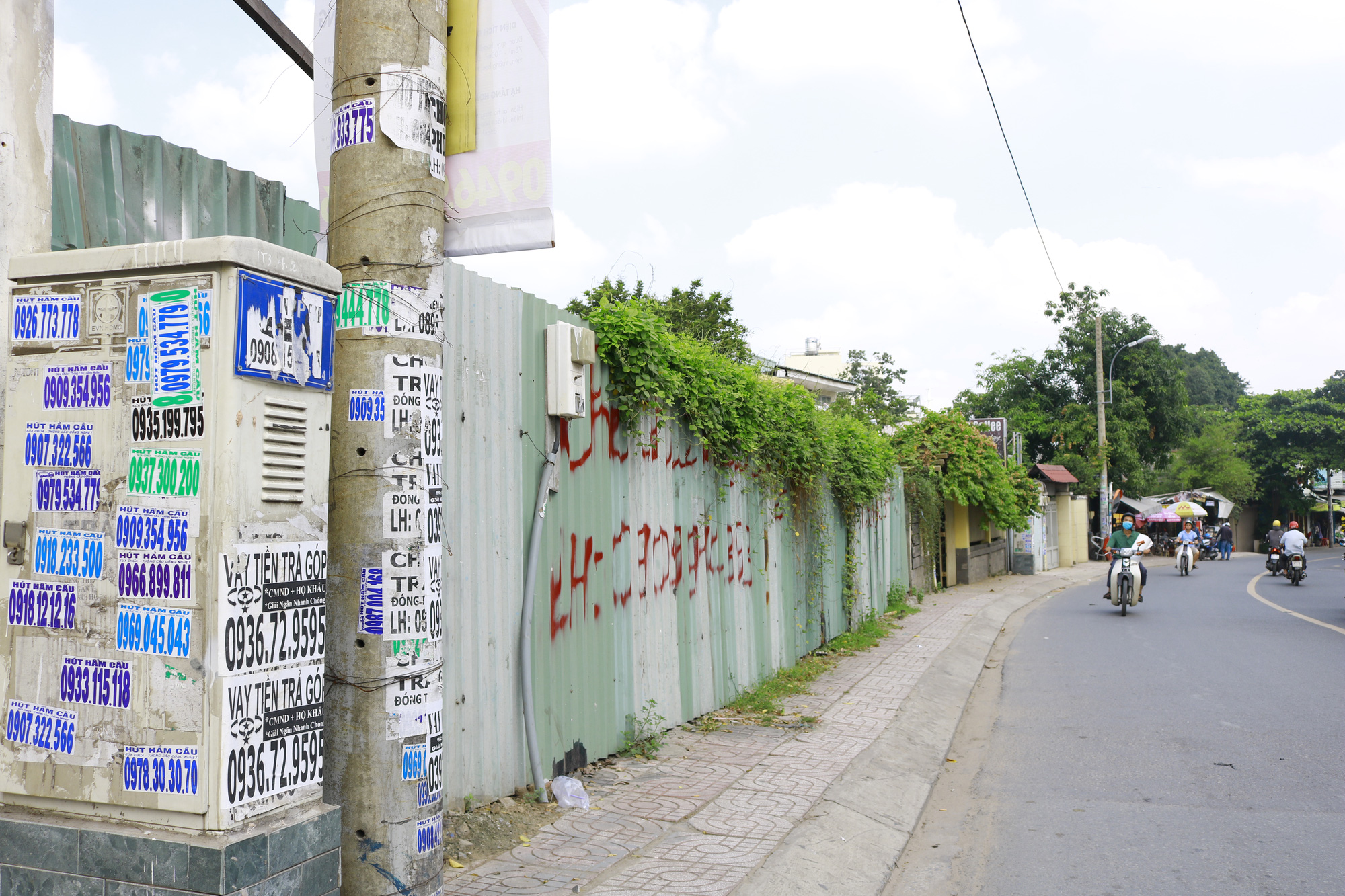 _MG_8777 _MG_8777