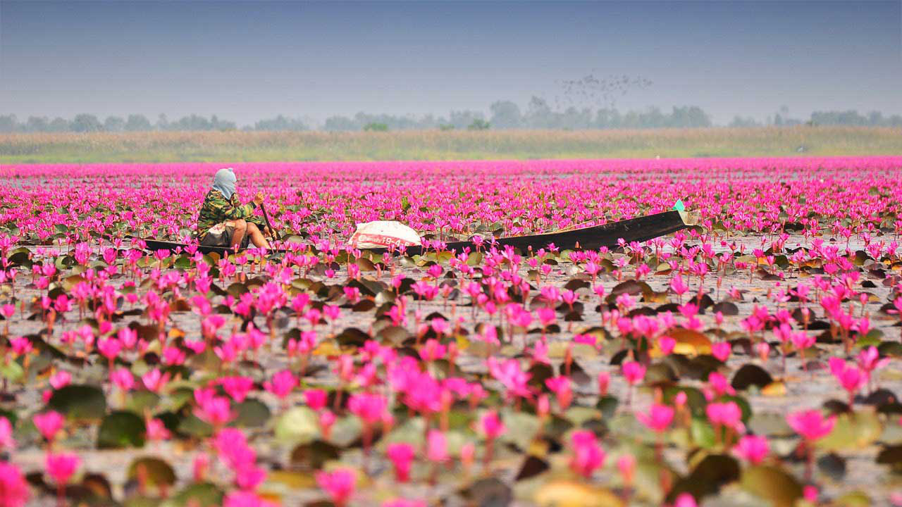 Thailand Guru Thailand Guru