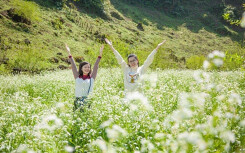 Tour du lịch Hà Nội - Mộc Châu 2 ngày 1 đêm: Giá chênh gần 600 nghìn đồng tùy theo chất lượng lưu trú