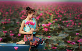 Ngỡ ngàng trước vẻ đẹp của hồ hoa súng Nong Han lớn nhất Thái Lan