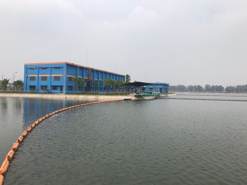 Shark Liên rời ghế CEO, 8X thay thế, người Thái áp đảo ban lãnh đạo nước Sông Đuống - Ảnh 5. Shark Liên rời ghế CEO, 8X thay thế, người Thái áp đảo ban lãnh đạo nước Sông Đuống - Ảnh 5.