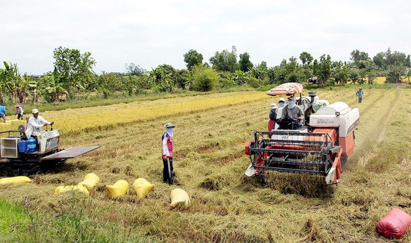 Vựa lúa lớn nhất, cá tôm nhiều nhất nhưng hạ tầng, nhà cửa tệ nhất - Ảnh 1. Vựa lúa lớn nhất, cá tôm nhiều nhất nhưng hạ tầng, nhà cửa tệ nhất - Ảnh 1.