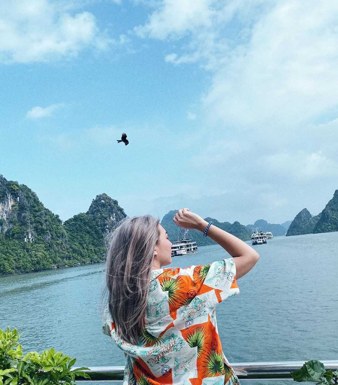 So sánh tour du lịch Hà Nội – Hạ Long 3 ngày 2 đêm - Ảnh 1. So sánh tour du lịch Hà Nội – Hạ Long 3 ngày 2 đêm - Ảnh 1.