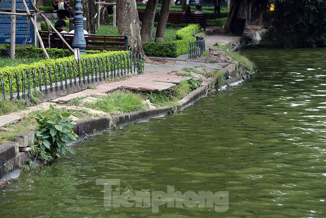 Bờ kè Hồ Gươm sạt lở nghiêm trọng, cảnh báo khách du lịch không đến gần - Ảnh 3. Bờ kè Hồ Gươm sạt lở nghiêm trọng, cảnh báo khách du lịch không đến gần - Ảnh 3.