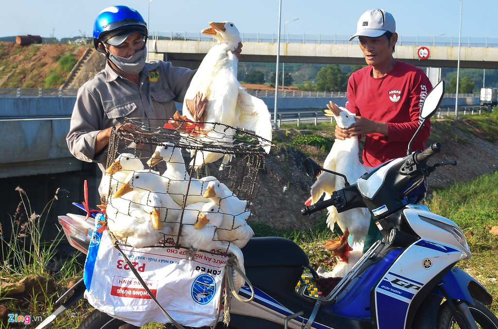 Vì sao vòng xoay Dung Quất chưa nối vào cao tốc 34.500 tỉ? - Ảnh 1. Vì sao vòng xoay Dung Quất chưa nối vào cao tốc 34.500 tỉ? - Ảnh 1.