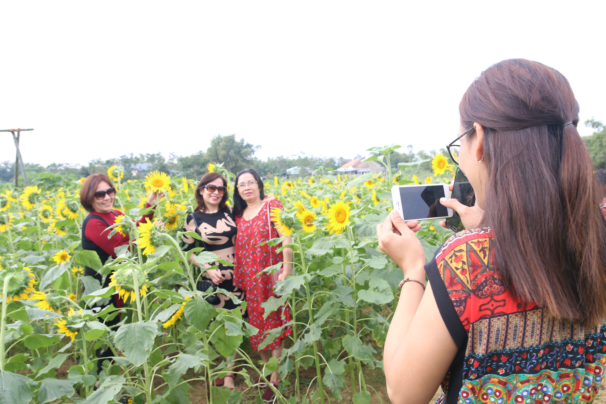 huong-duong (20) huong-duong (20)