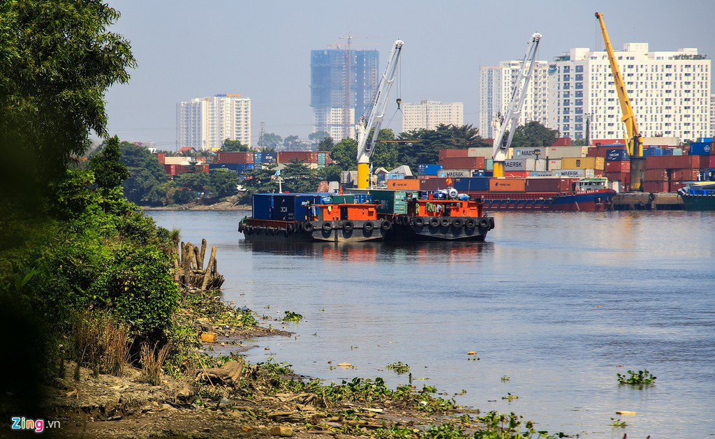 Cụm cảng Trường Thọ với định hướng là một phần đô thị phía đông TP HCM - Ảnh 5. Cụm cảng Trường Thọ với định hướng là một phần đô thị phía đông TP HCM - Ảnh 5.