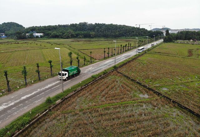 Hàng cây hoa sữa chuyển từ Hồ Tây đến bãi rác Nam Sơn giờ ra sao? - Ảnh 12. Hàng cây hoa sữa chuyển từ Hồ Tây đến bãi rác Nam Sơn giờ ra sao? - Ảnh 12.