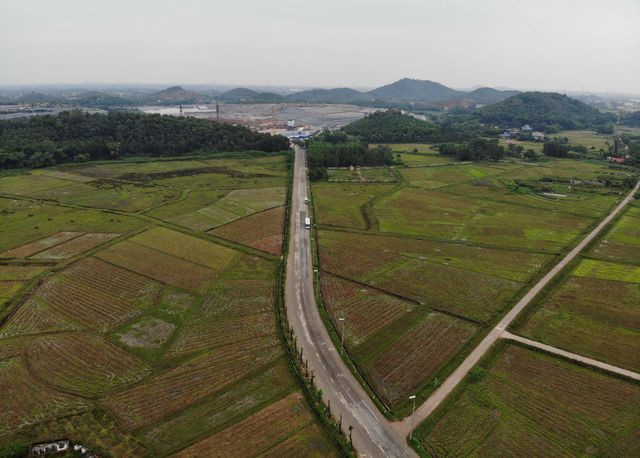Hàng cây hoa sữa chuyển từ Hồ Tây đến bãi rác Nam Sơn giờ ra sao? - Ảnh 2. Hàng cây hoa sữa chuyển từ Hồ Tây đến bãi rác Nam Sơn giờ ra sao? - Ảnh 2.
