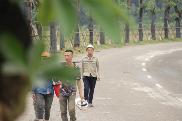 Hàng cây hoa sữa chuyển từ Hồ Tây đến bãi rác Nam Sơn giờ ra sao? - Ảnh 6. Hàng cây hoa sữa chuyển từ Hồ Tây đến bãi rác Nam Sơn giờ ra sao? - Ảnh 6.