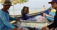 Bà Rịa - Vũng Tàu thu hồi đất dự án, trả lại bãi biển cho ngư dân và cộng đồng