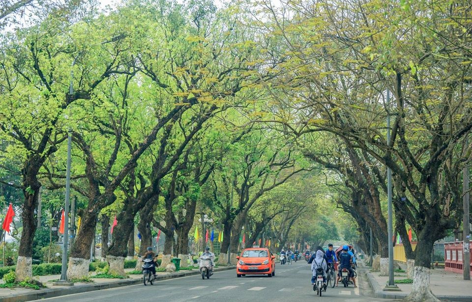Có hẹn cùng Huế ngày thu - Ảnh 5.