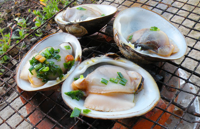 So sánh tour du lịch TP HCM – Cà Mau 4 ngày 3 đêm - Ảnh 7.