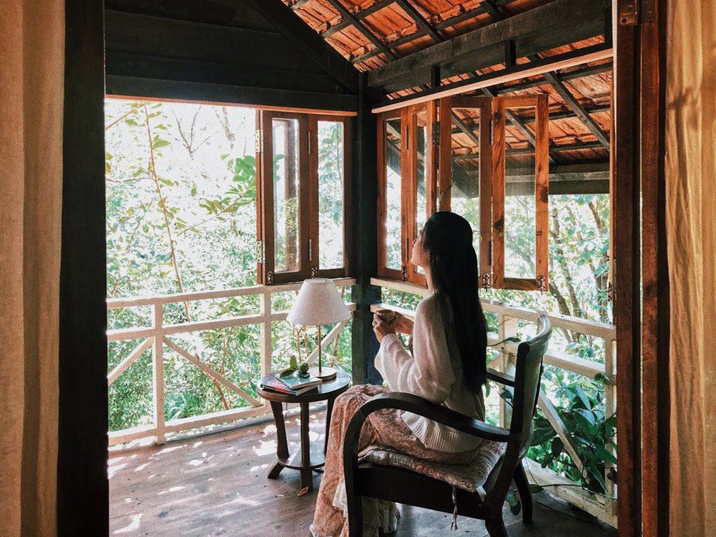 5 homestay binh yen giua nui rung Da Lat hinh anh 15 