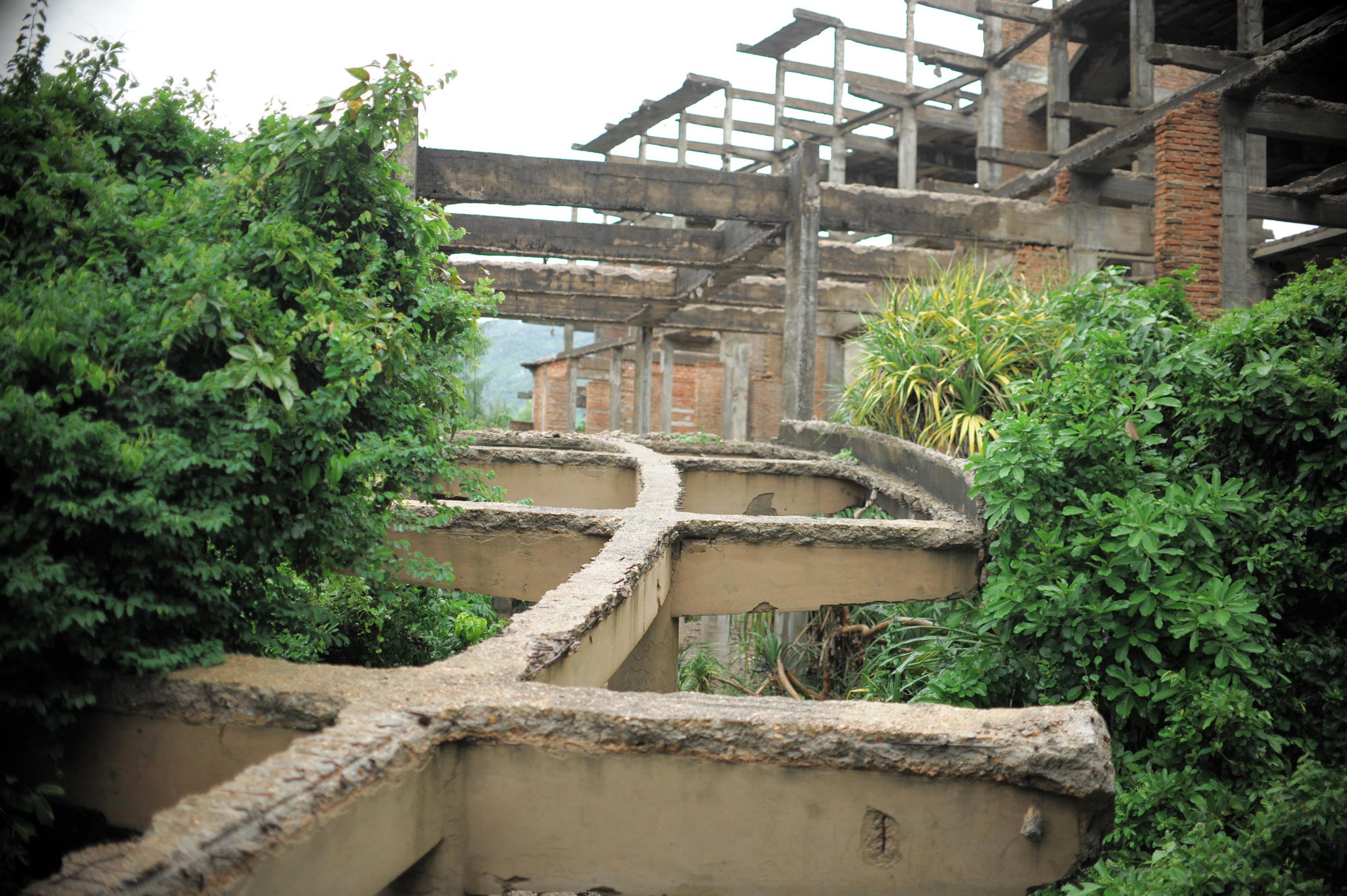 du an khach san cua nhac si thanh tung (4)