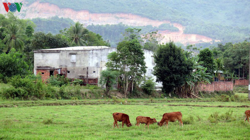 Dự án treo kéo dài, hơn 600 ha đất nông nghiệp bỏ hoang - Ảnh 1.