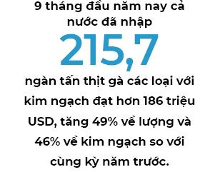 Giảm thuế nhập khẩu thịt, nông dân chịu thiệt hại kép - Ảnh 3. Giảm thuế nhập khẩu thịt, nông dân chịu thiệt hại kép - Ảnh 3.