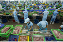 World Bank dự báo kinh tế Việt Nam tăng trưởng 6,8%