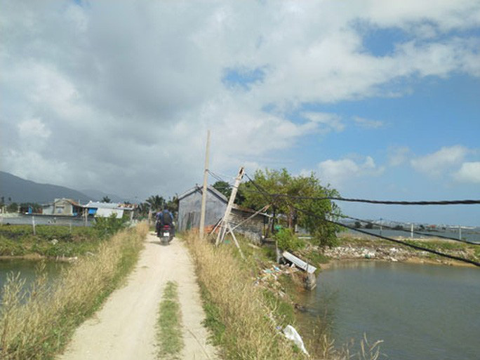 Bài học đắng từ sốt đất Vân Phong - Ảnh 1. Bài học đắng từ sốt đất Vân Phong - Ảnh 1.