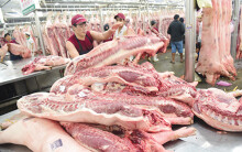 Giá heo hơi lên gần 100.000 đồng/kg, Bộ Nông nghiệp bị Phó Thủ tướng phê bình