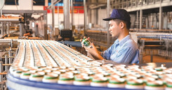 Sabeco thành gà vàng  của Thaibev