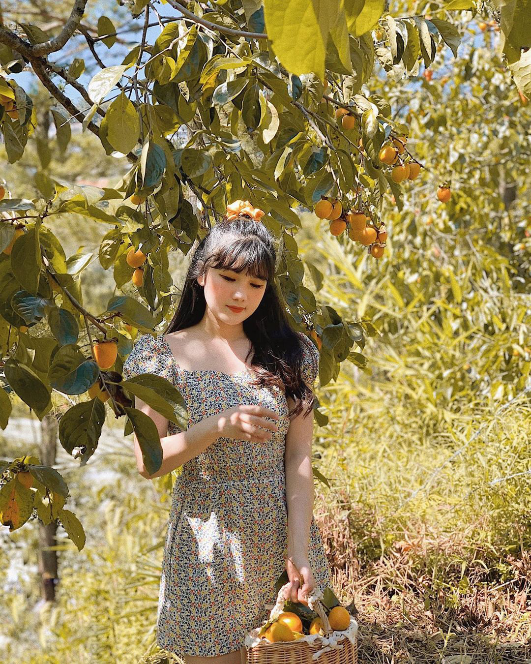 Vườn hồng_ @summer_nguyen_1987 Vườn hồng_ @summer_nguyen_1987