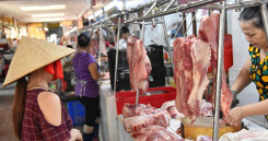 Thấm đòn giá thịt heo tăng