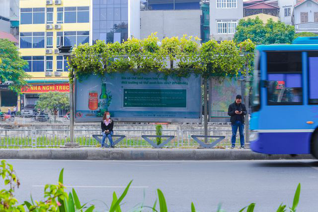 Người Hà Nội thích thú với những 'khu vườn treo' ấn tượng trên nóc trạm chờ xe buýt - Ảnh 1.