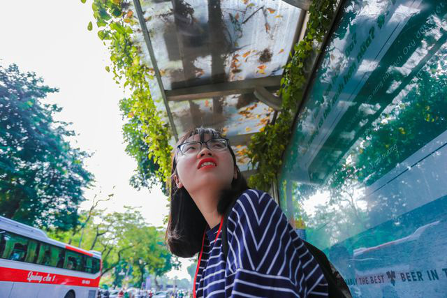 Người Hà Nội thích thú với những 'khu vườn treo' ấn tượng trên nóc trạm chờ xe buýt - Ảnh 10.
