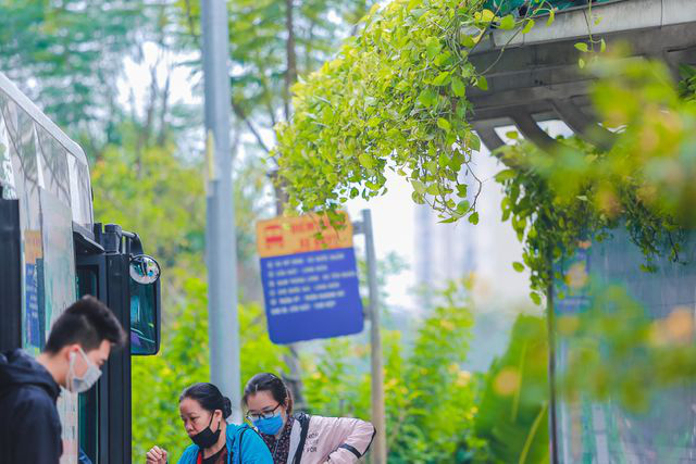 Người Hà Nội thích thú với những 'khu vườn treo' ấn tượng trên nóc trạm chờ xe buýt - Ảnh 2.