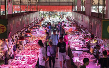 Chuyện chỉ có ở Trung Quốc: Mở tài khoản ngân hàng, được tặng... thịt heo