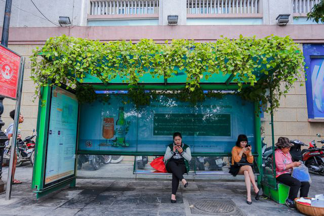 Người Hà Nội thích thú với những 'khu vườn treo' ấn tượng trên nóc trạm chờ xe buýt - Ảnh 6.