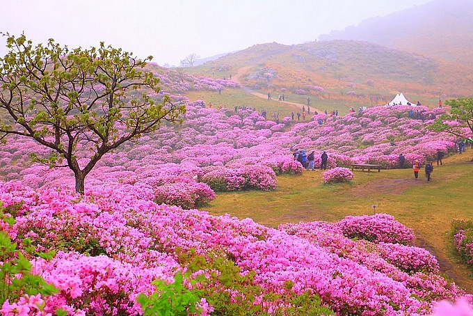 3421_quahuongparkhangseo_3