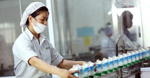 Vinamilk đã thâu tóm thành công Sữa Mộc Châu