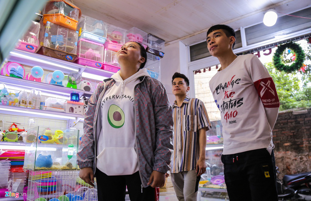 Chuột hamster bán chạy trước Tết - Ảnh 2. Chuột hamster bán chạy trước Tết - Ảnh 2.