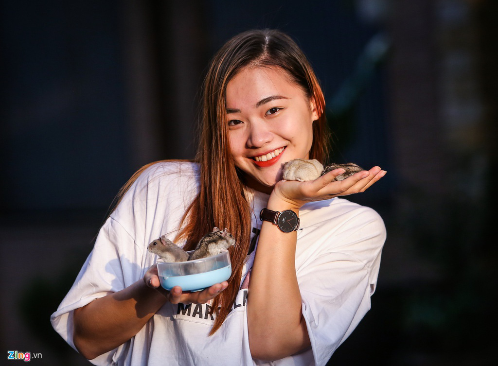 Chuột hamster bán chạy trước Tết - Ảnh 9. Chuột hamster bán chạy trước Tết - Ảnh 9.