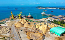 Cận cảnh cảng gỗ dăm khiến nước biển đổi màu cà phê