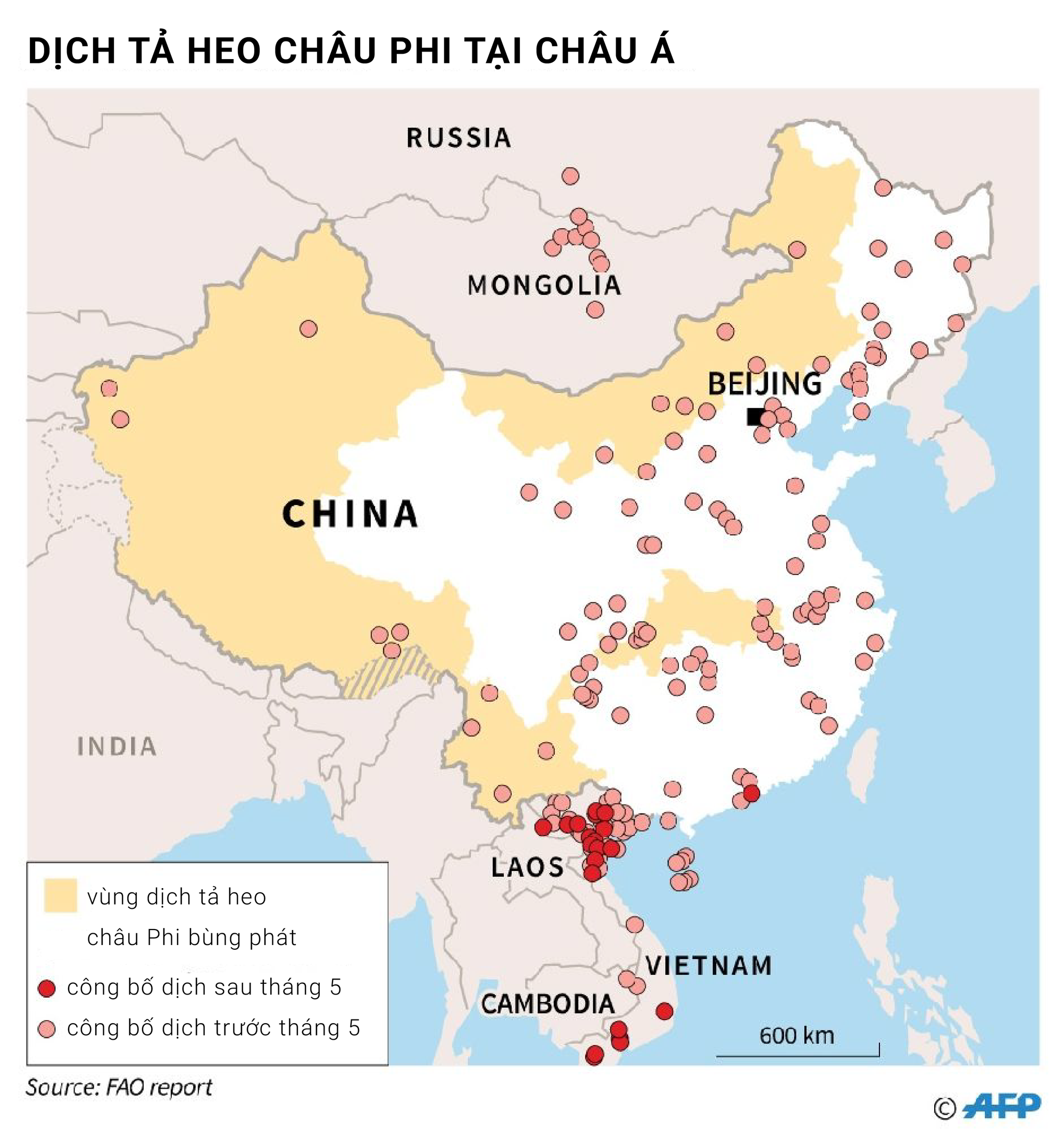 Ở Trung Quốc, bây giờ không gì quý bằng thịt heo - Ảnh 1. Ở Trung Quốc, bây giờ không gì quý bằng thịt heo - Ảnh 1.