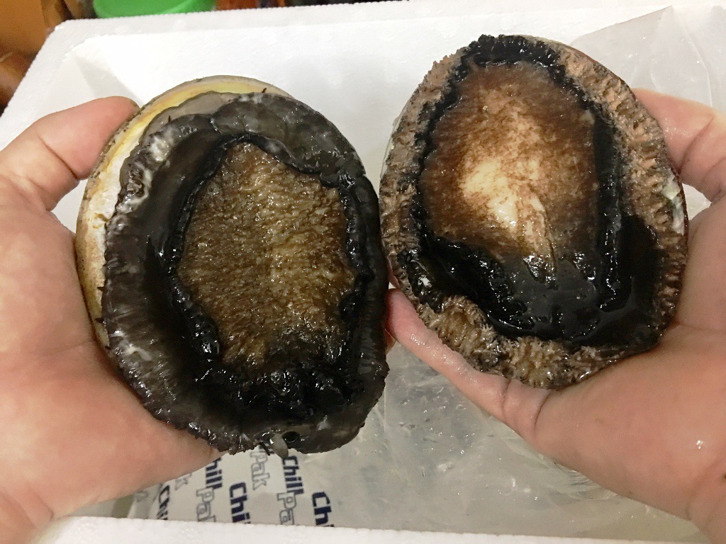 Bào ngư vi cá 3 – 4 triệu đồng/phần bán đầy chợ mạng, người dùng cẩn trọng - Ảnh 2. Bào ngư vi cá 3 – 4 triệu đồng/phần bán đầy chợ mạng, người dùng cẩn trọng - Ảnh 2.