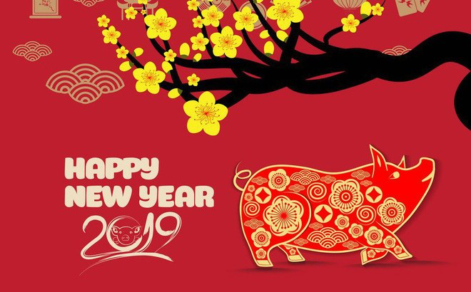 Lời chúc Tết 2019 cho khách hàng, đối tác hay nhất - Ảnh 3. Lời chúc Tết 2019 cho khách hàng, đối tác hay nhất - Ảnh 3.