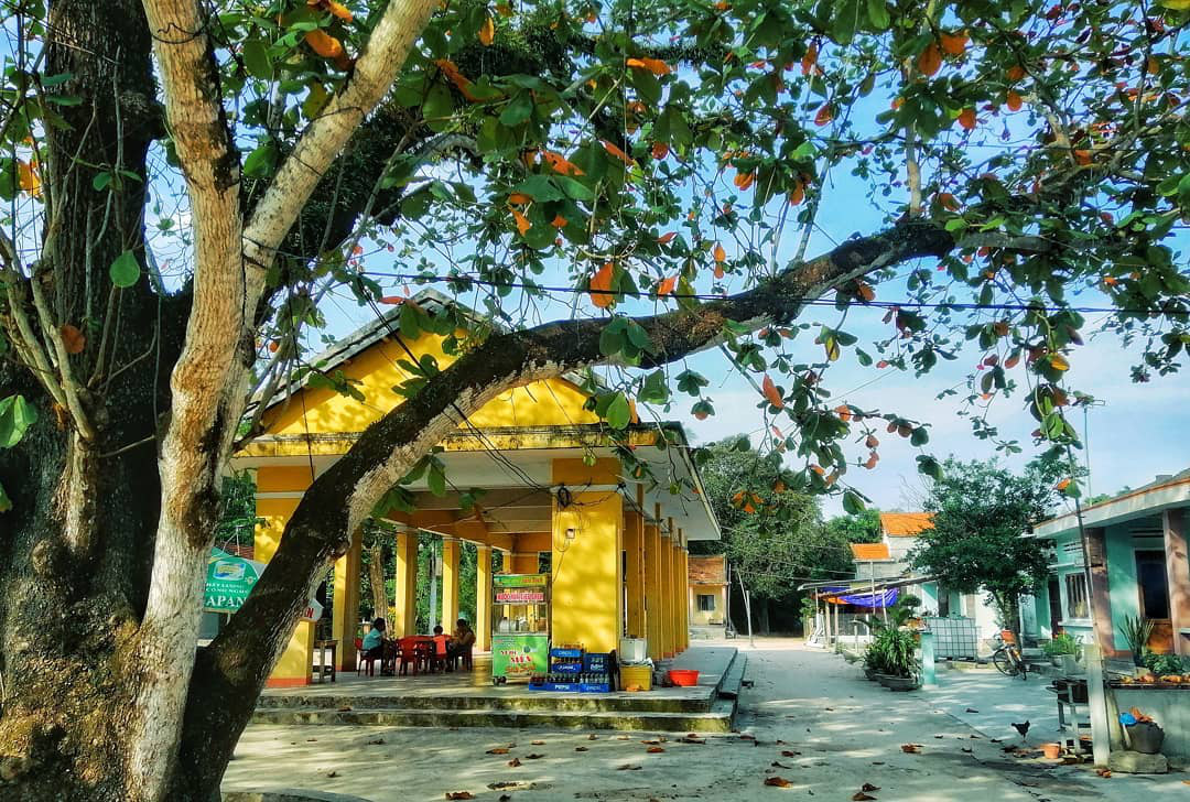 Check-in làng Đo Đo trong phim Mắt biếc - Ảnh 11. Check-in làng Đo Đo trong phim Mắt biếc - Ảnh 11.