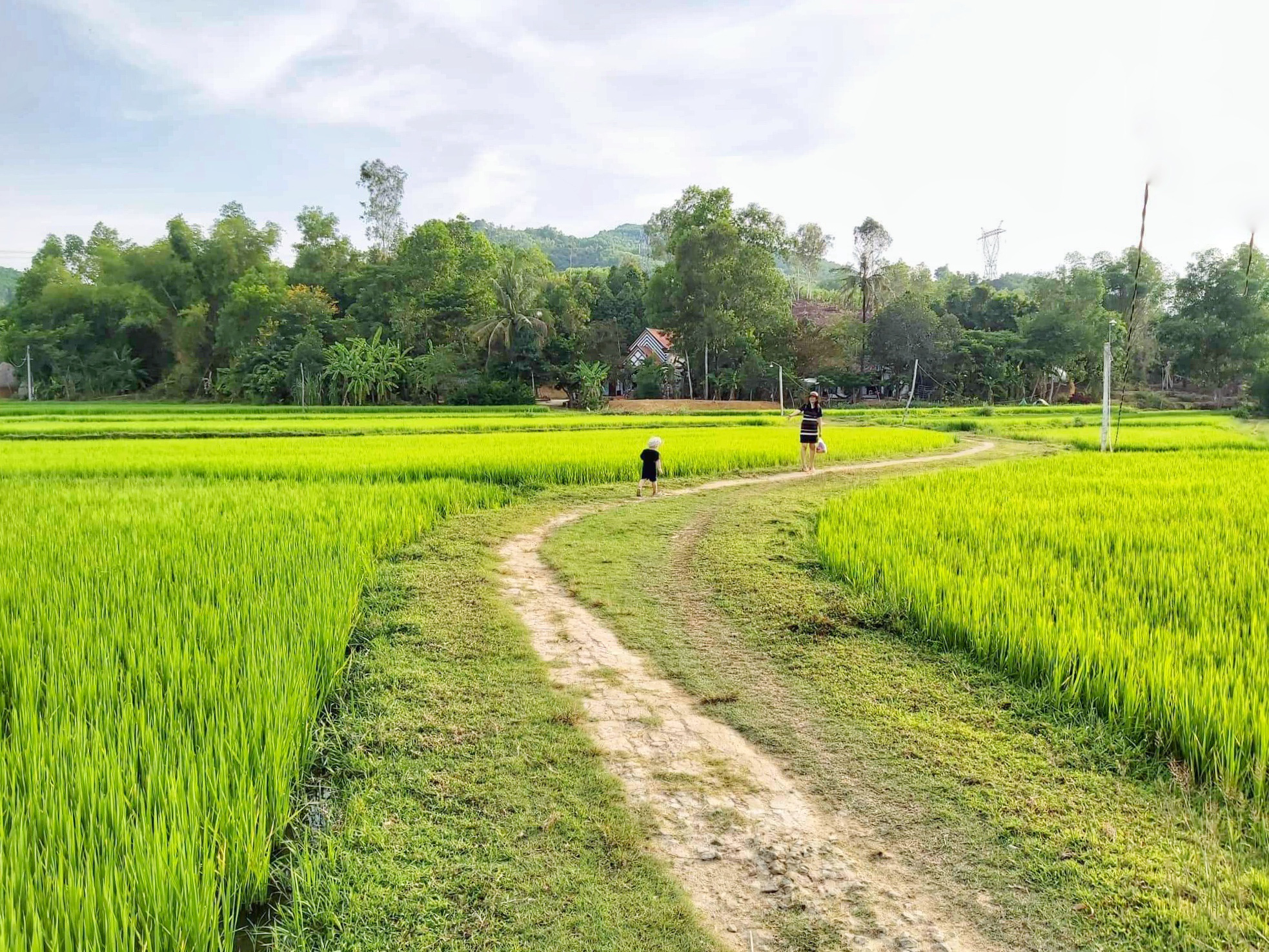 Check-in làng Đo Đo trong phim Mắt biếc - Ảnh 10. Check-in làng Đo Đo trong phim Mắt biếc - Ảnh 10.