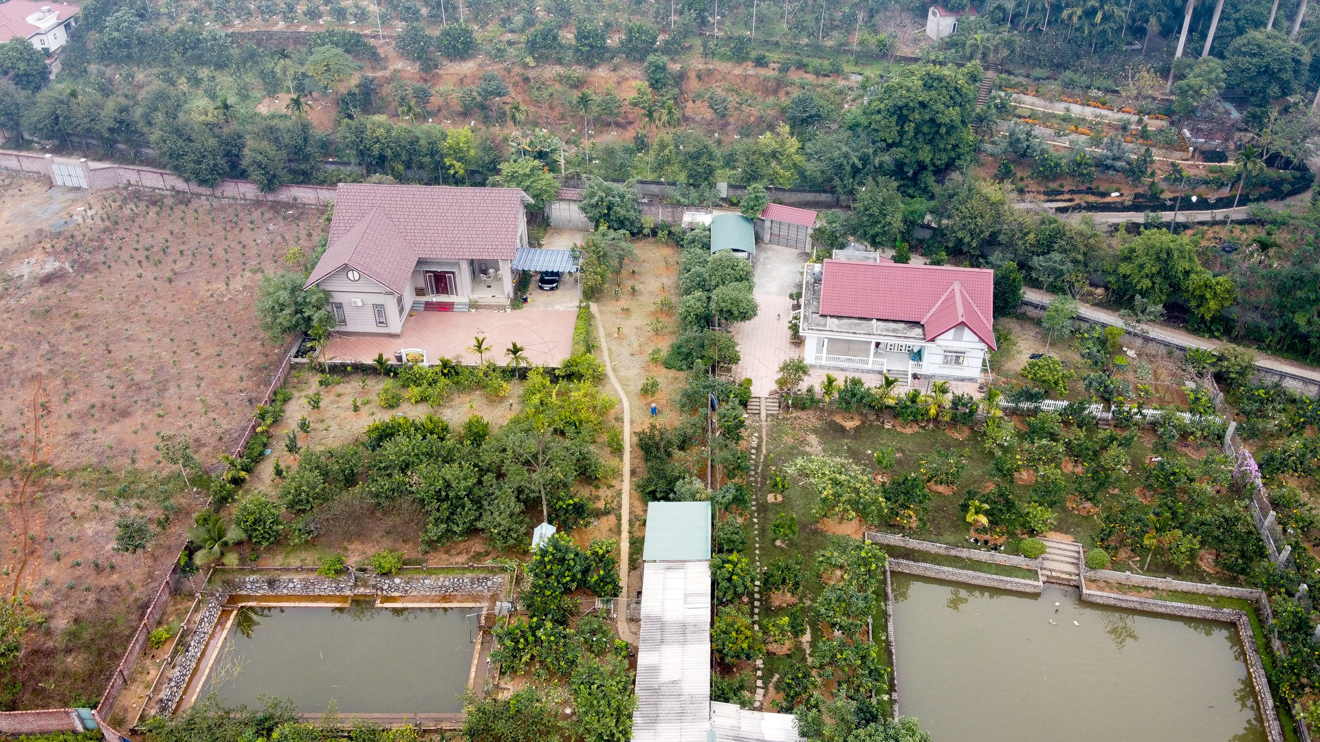 Nhà giàu Hà Nội 'đua' nhau bán nhà nội đô, ra ngoại thành làm 'biệt thự vườn' - Ảnh 1.