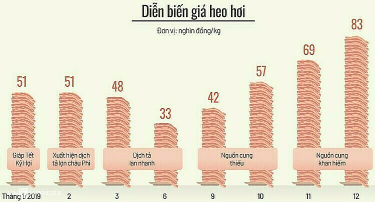 Hộ chăn nuôi không còn lợn bán - Ảnh 2. Hộ chăn nuôi không còn lợn bán - Ảnh 2.