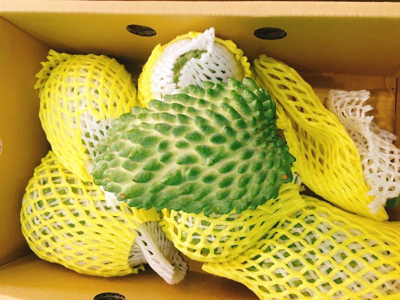 Quả na khổng lồ rực mùi sầu riêng, của hiếm lùng khắp Hà thành - Ảnh 1. Quả na khổng lồ rực mùi sầu riêng, của hiếm lùng khắp Hà thành - Ảnh 1.